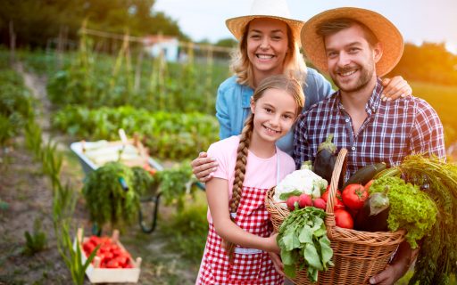 Garantia na Mesa: A Base da Nossa Segurança Alimentar - inspiração 1