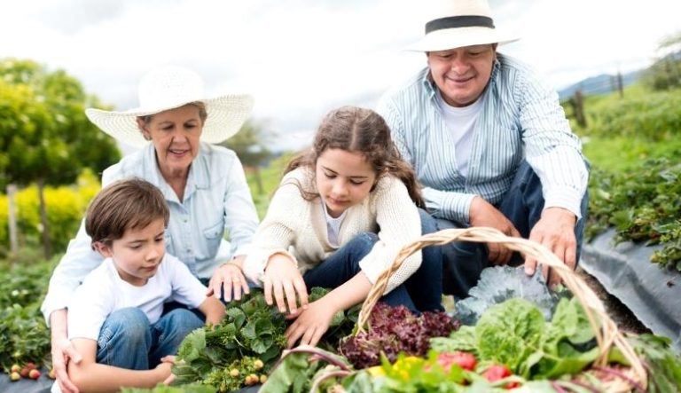 Empregos no Campo: Combatendo o Êxodo Rural e Fortalecendo Comunidades - inspiração 2