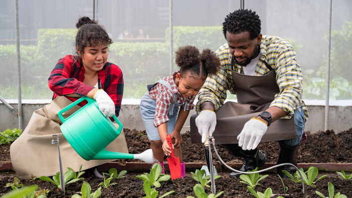 Sustentabilidade em Ação: Práticas Agrícolas Que Respeitam o Planeta - inspiração 2