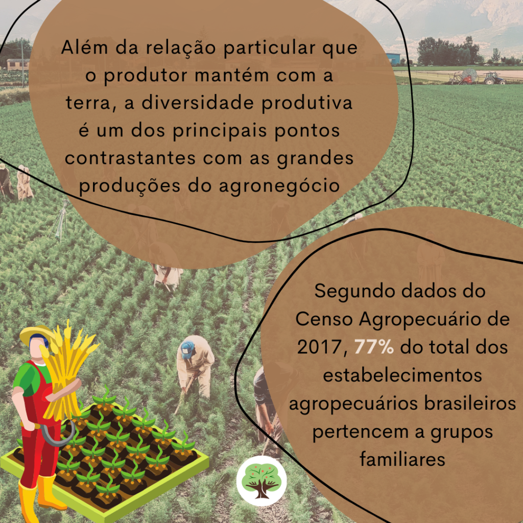 Economia Que Floresce Localmente: O Coração Pulsante dos Pequenos Municípios - inspiração 2