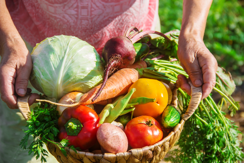 Economia Que Floresce Localmente: O Coração Pulsante dos Pequenos Municípios - inspiração 3