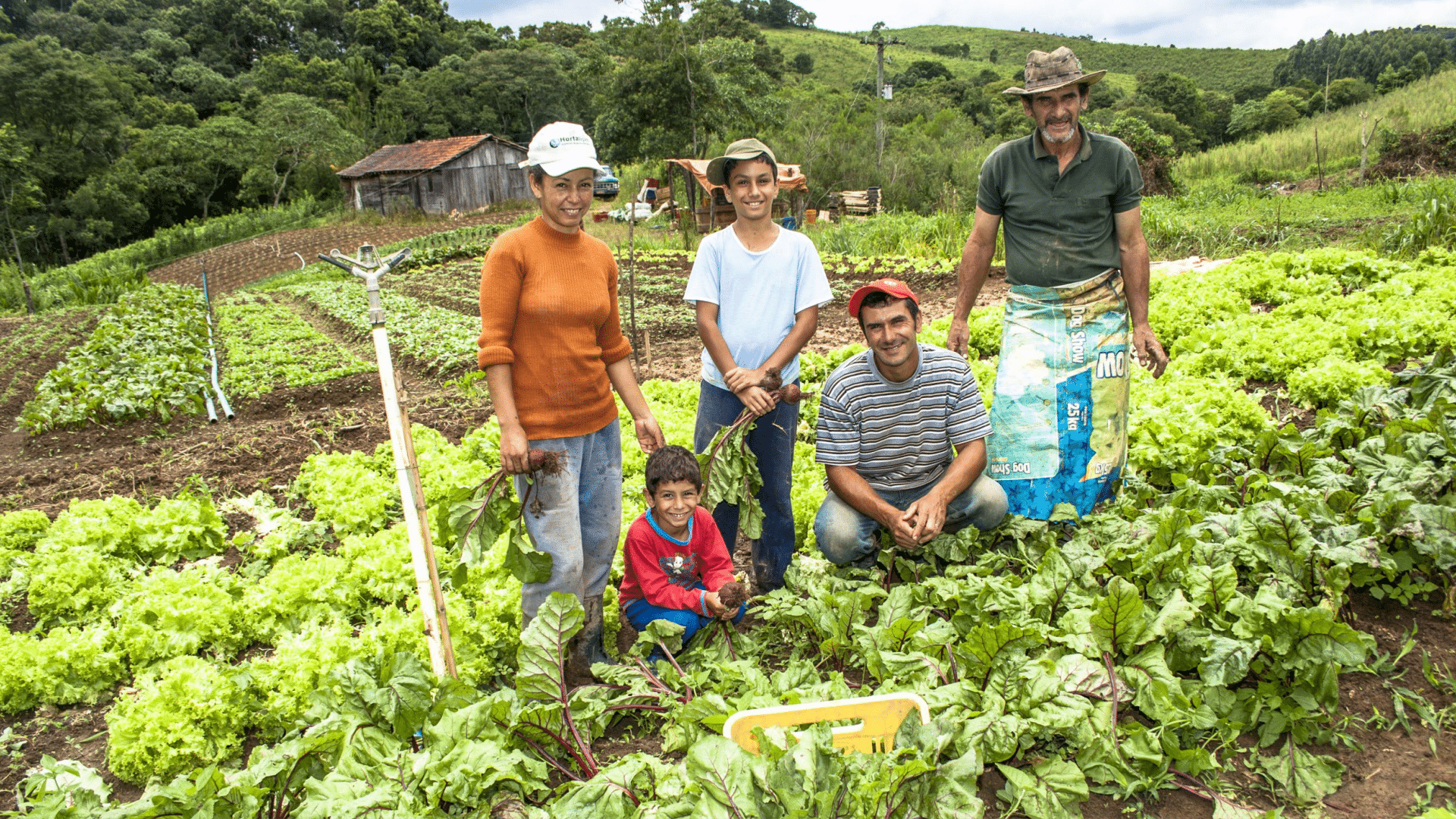 Biodiversidade Preservada: Um Mosaico de Sabores e Cores Nativas - inspiração 2