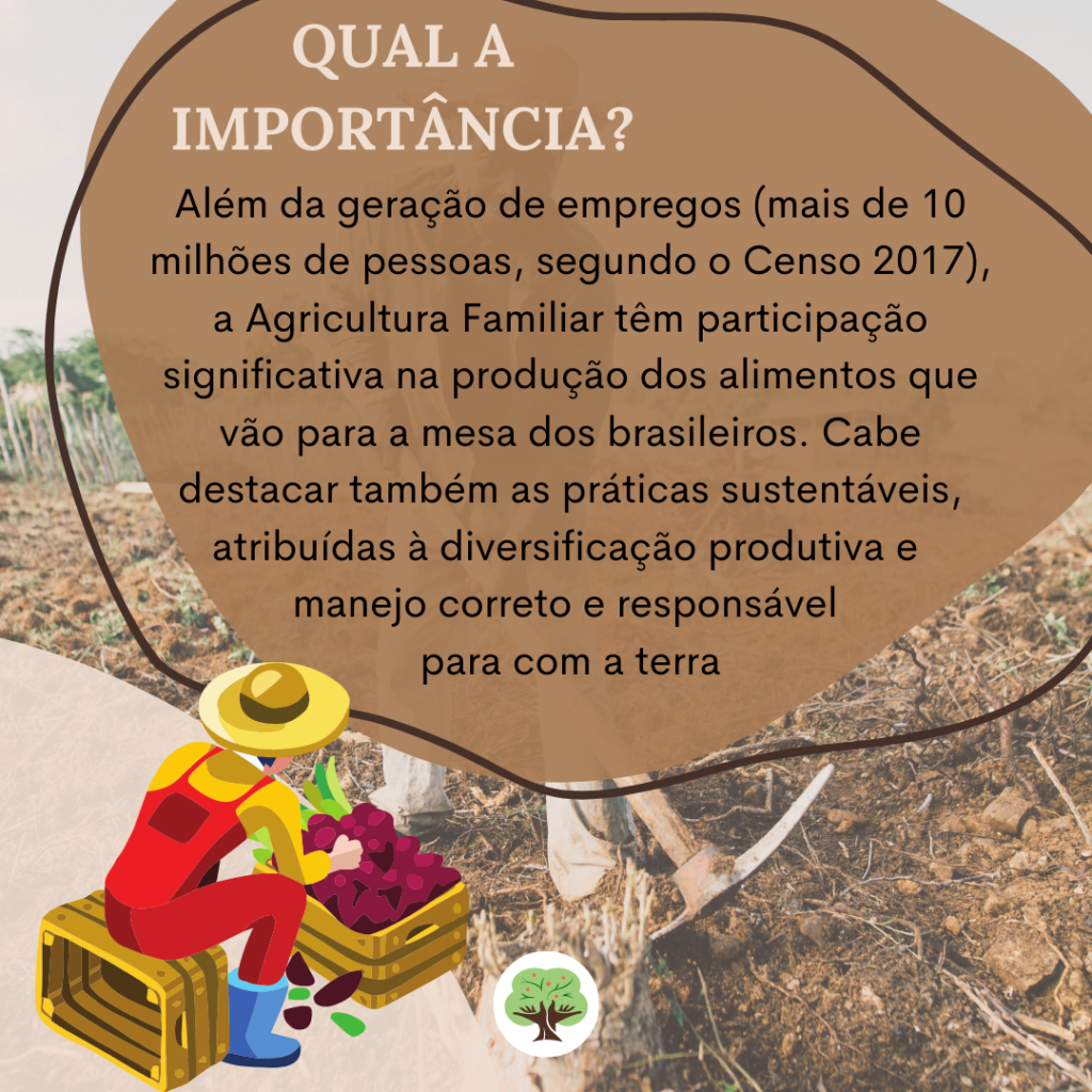 O Poder do PRONAF: Crédito Que Impulsiona o Crescimento Sustentável - inspiração 1