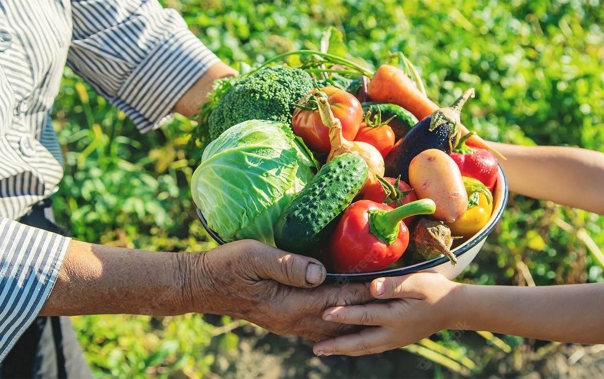 O Poder do PRONAF: Crédito Que Impulsiona o Crescimento Sustentável - inspiração 2