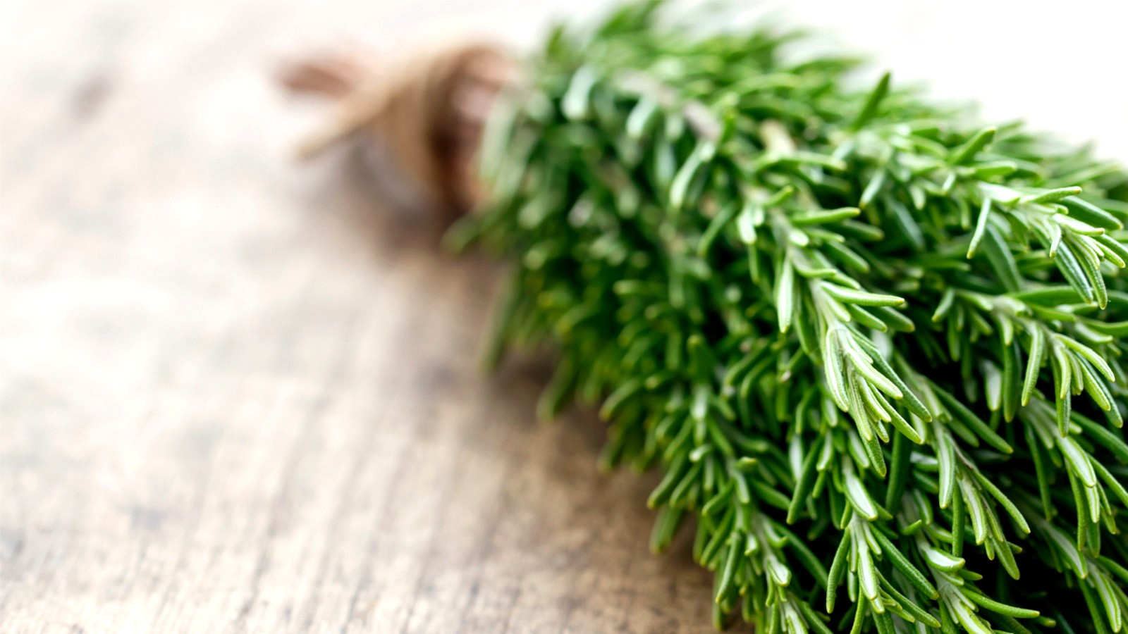 A Receita Secreta do Solo: Preparando a Base Perfeita para Crescimento Forte - inspiração 1