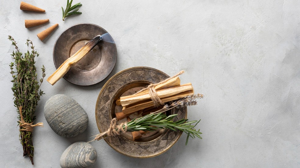 Decifrando os Sinais: Aprenda a Ler o Que Seu Alecrim Tenta Te Contar - inspiração 2