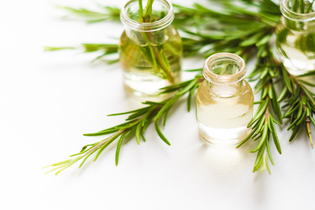 Alecrim no Condicionador: Desembaraço e Nutrição Extras - inspiração 2