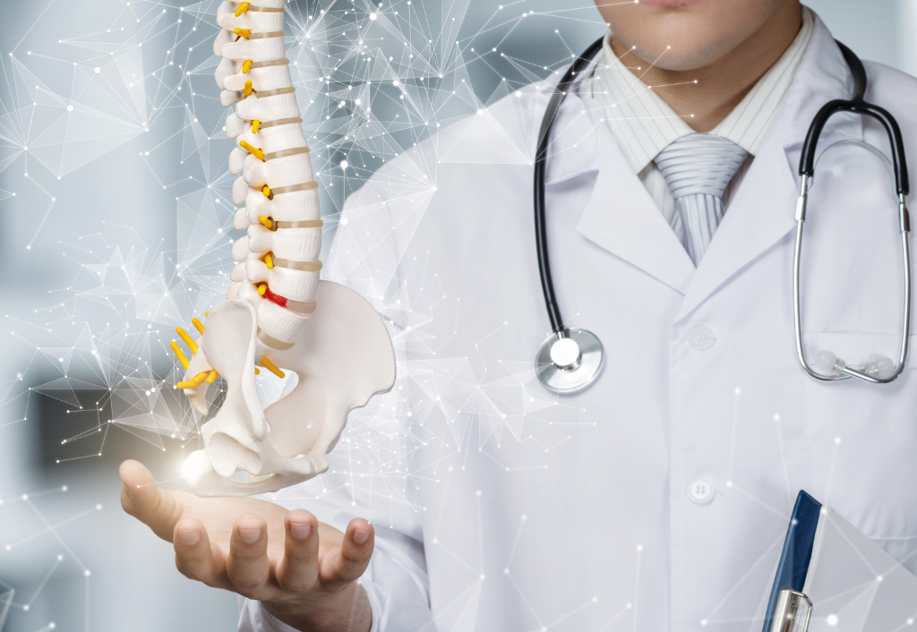 A Hidratação Essencial: O Segredo da Elasticidade Discal - inspiração 3