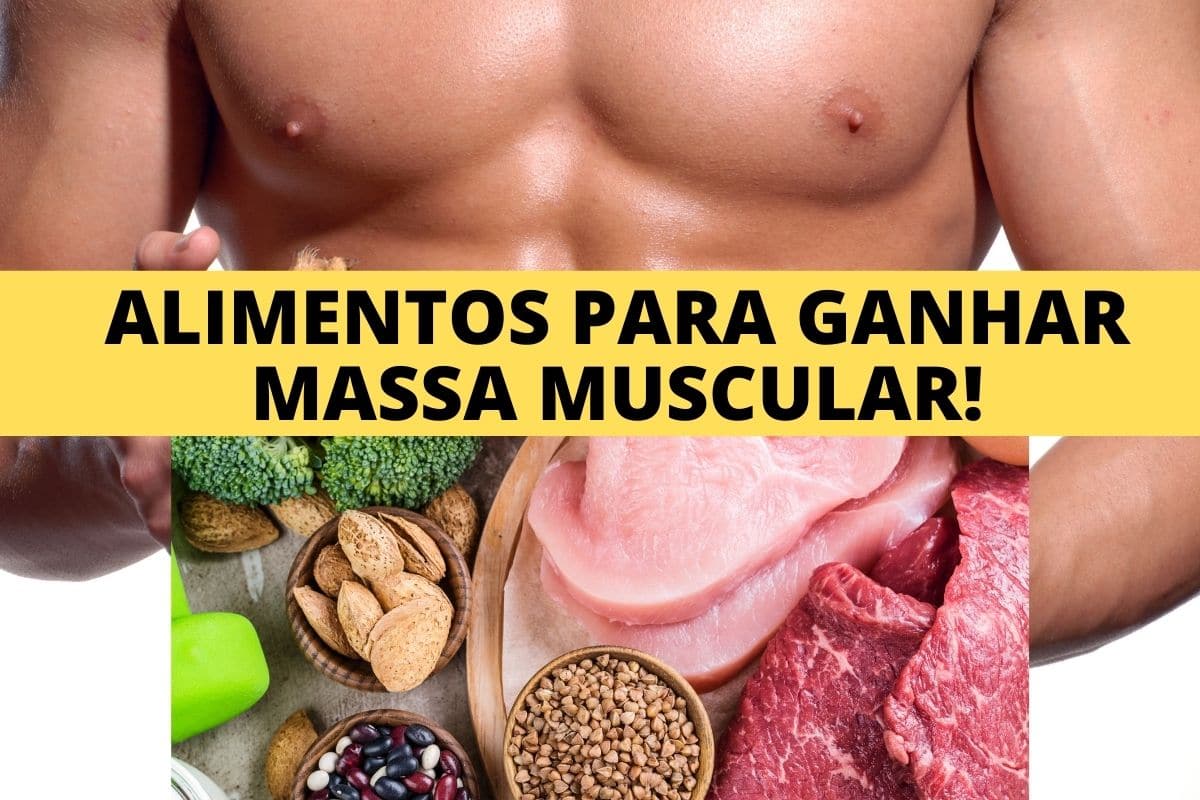 Laticínios Inteligentes: Proteína e Cálcio para Fortalecer seus Músculos - inspiração 2
