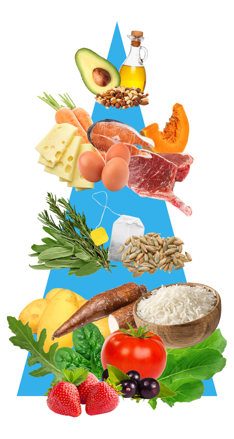 Reabastecendo o Tanque: Estratégias para Mais Disposição - inspiração 2