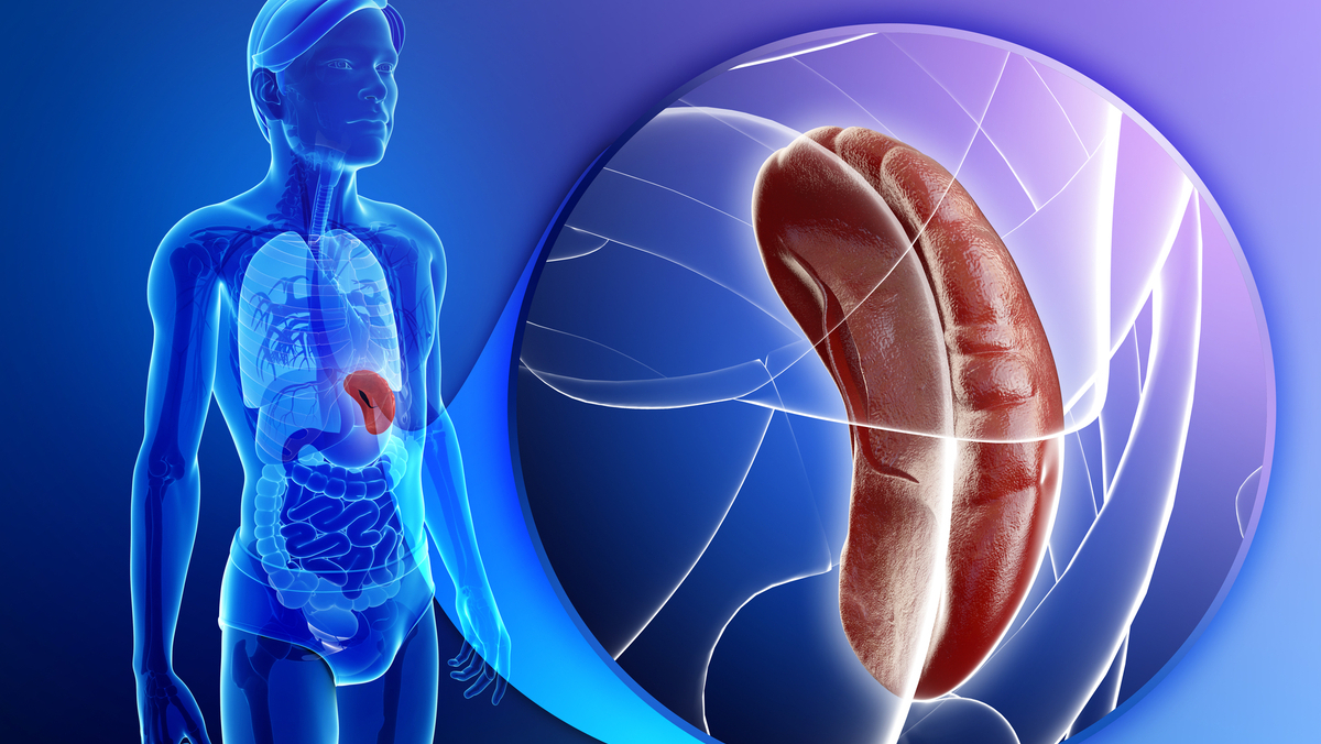 Ômega-3: O Poder Anti-inflamatório Que Acalma o Corpo - inspiração 3