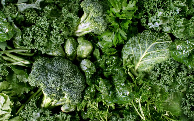 Fibras e Grãos Integrais: Energia de Longo Prazo para Vencer a Fadiga - inspiração 1