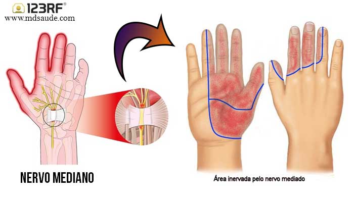Dica #3: Encha Seu Prato de Antioxidantes Poderosos - inspiração 2
