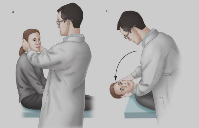 Álcool: Desidratando e Confundindo Seu Corpo - inspiração 1