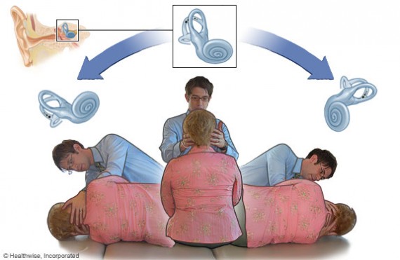 Cálcio: Fortalecendo Seus Ossos e o Ouvido Interno - inspiração 2