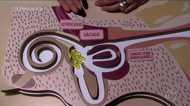 Gengibre: O Anti-Náusea Natural - inspiração 2