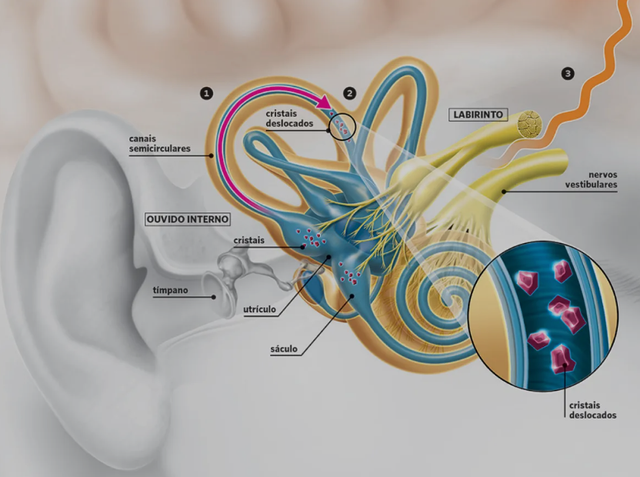 Sódio: O Vilão Escondido nos Alimentos - inspiração 1