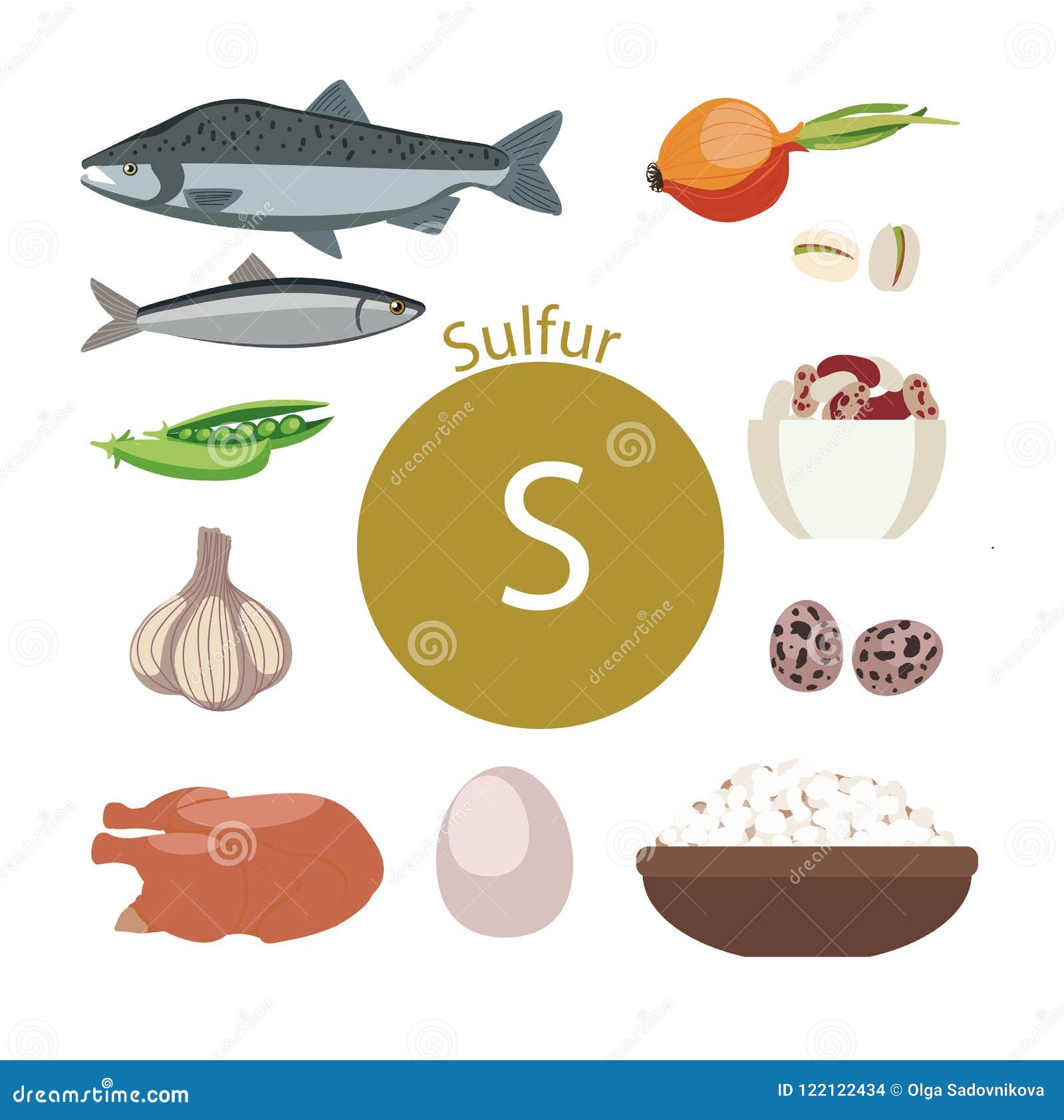 Alho e Cebola: O Dueto Aromático que Fortalece a Imunidade - inspiração 2