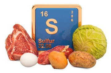 Carnes Magras: Enxofre para Músculos Fortes e Pele Radiante - inspiração 3