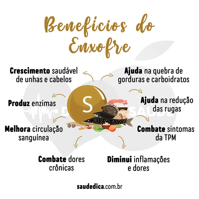 Raízes e Ervas: Um Toque de Enxofre para Refeições Vibrantes - inspiração 1