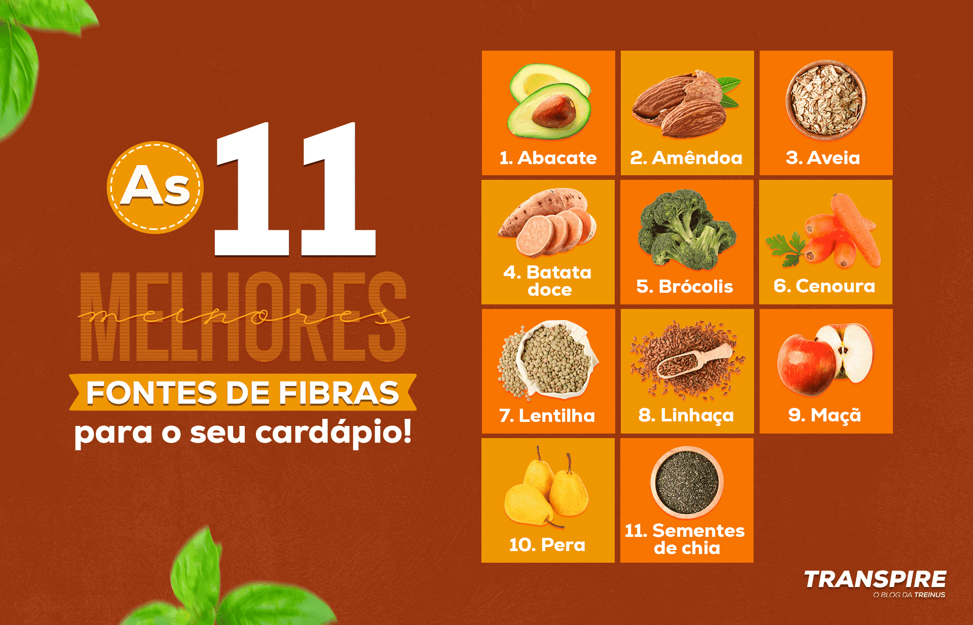 A Ciência no Seu Prato: Descomplicando as Fibras Solúveis e Insolúveis - inspiração 1