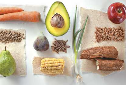 A Ciência no Seu Prato: Descomplicando as Fibras Solúveis e Insolúveis - inspiração 3