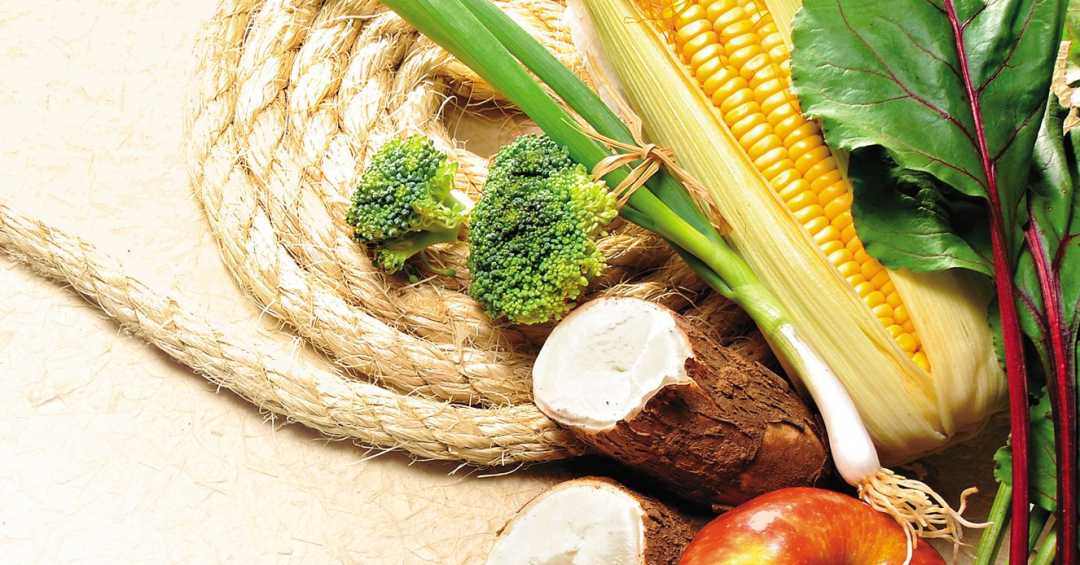 Escute Seu Corpo: Como Aumentar o Consumo de Fibras Sem Sobressaltos ou Desconforto - inspiração 3