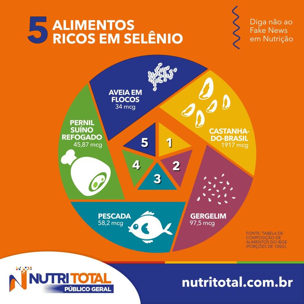 A Rainha das Oleaginosas: A Castanha-do-Pará - inspiração 2