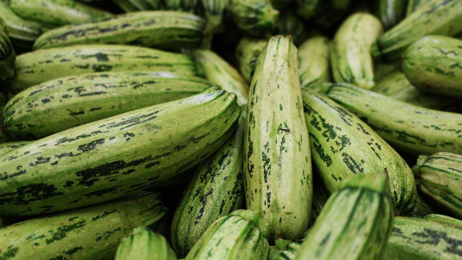 Hidratação que Nutre: O Segredo da Abobrinha para um Corpo Revigorado - inspiração 3