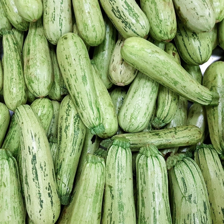 Vitaminas e Minerais da Abobrinha: Pequenos Tesouros para Sua Vitalidade - inspiração 3