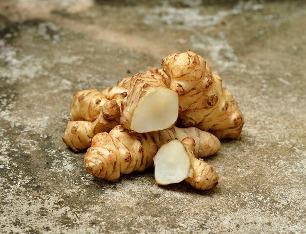 Protegendo Seu Trato Digestivo com a Magia da Inulina - inspiração 2