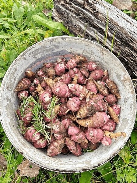 Vitaminas do Complexo B: Energia e Bem-Estar Para o Dia a Dia - inspiração 2