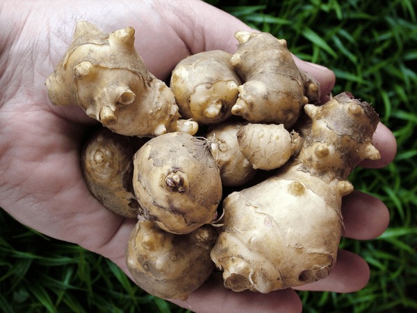 Regularidade Intestinal: Um Passe Livre Para um Ventre Feliz - inspiração 1