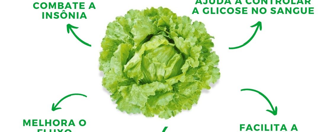 Aliviando a Mente: Como a Alface Combate a Ansiedade Noturna - inspiração 2