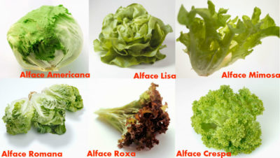 Corpo Relaxado, Mente Serena: O Papel do Magnésio e Potássio - inspiração 1