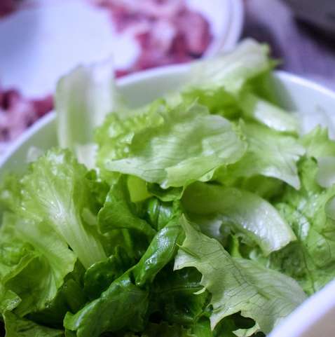 Alface e o Sistema Nervoso: Uma Conexão Surpreendente - inspiração 2