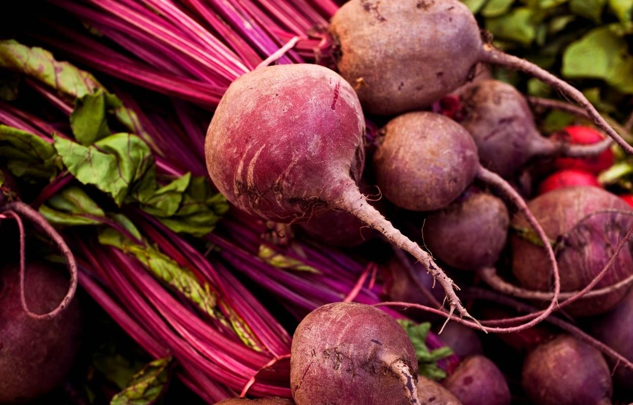 Versatilidade na Dieta: Receitas Deliciosas e Fáceis com Beterraba - inspiração 2