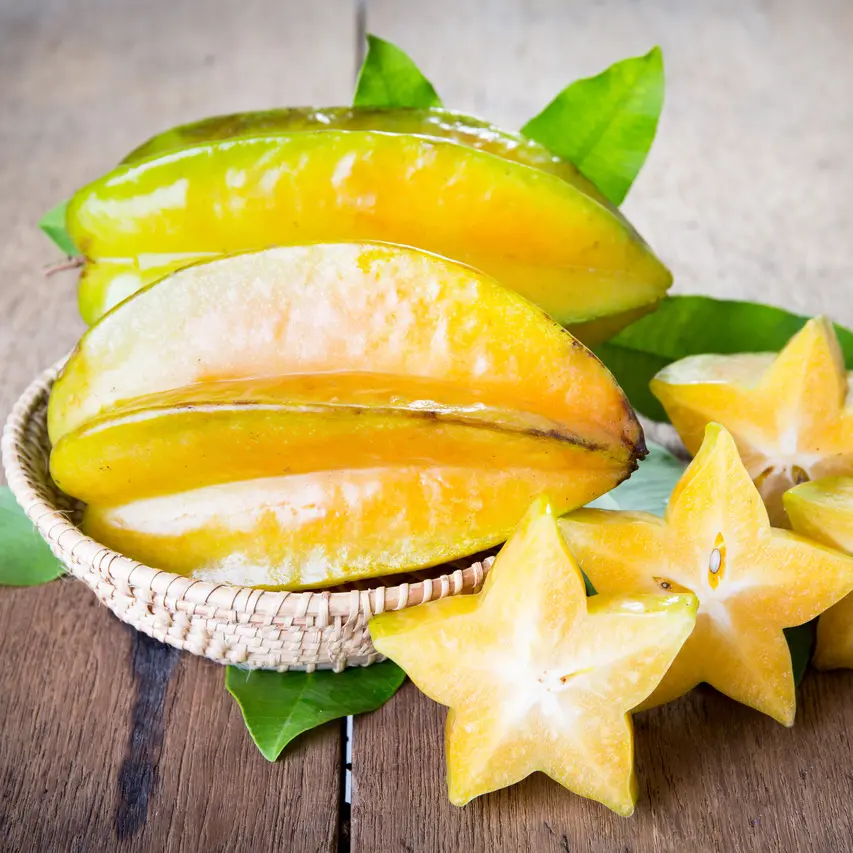 Passo a Passo para Medir o Tamanho da Porção Ideal (Se Liberada) - inspiração 1