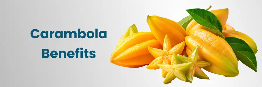 Passo a Passo para Medir o Tamanho da Porção Ideal (Se Liberada) - inspiração 3