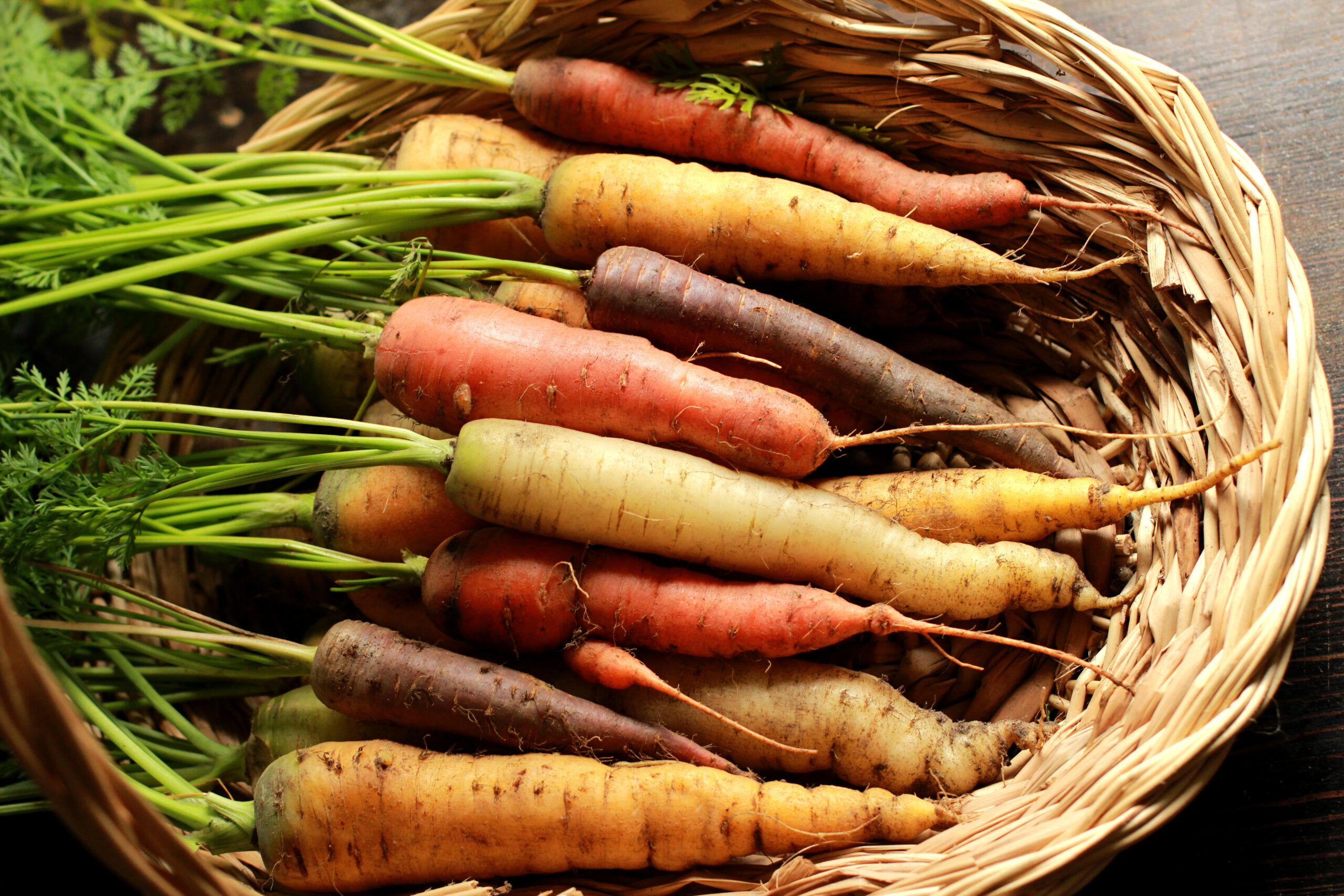 Visão turbinada: Nutrientes que protegem seus olhos - inspiração 3