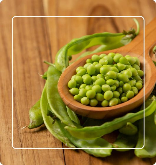 Proteja seu Coração com o Poder da Ervilha Seca - inspiração 2