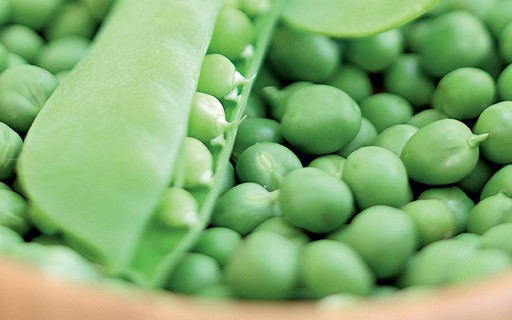 Blindagem Imune: A Ervilha Seca Fortalece sua Saúde - inspiração 1