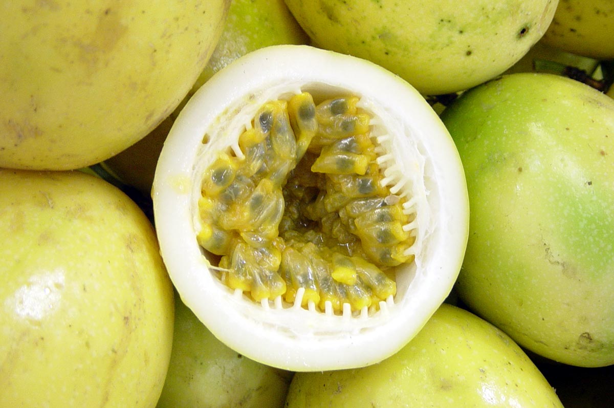 O Impacto Positivo na Sua Saúde Cardiovascular - inspiração 2