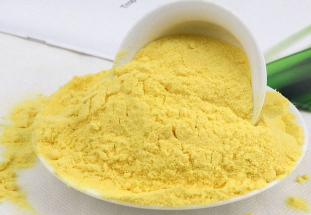 O Impacto Positivo na Sua Saúde Cardiovascular - inspiração 3