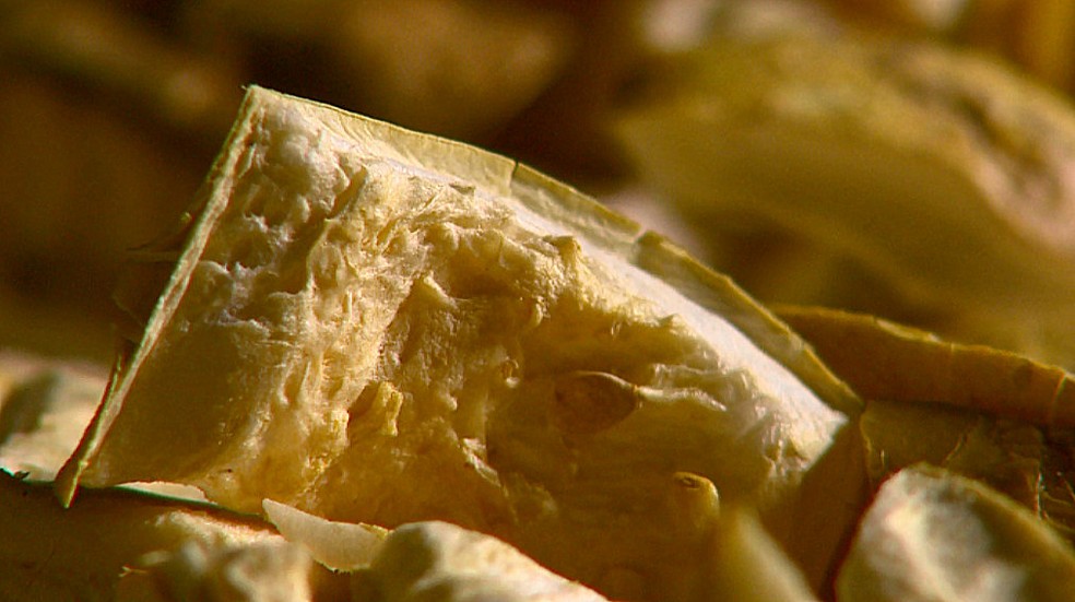 Proteja seu Corpo dos Danos dos Radicais Livres - inspiração 2