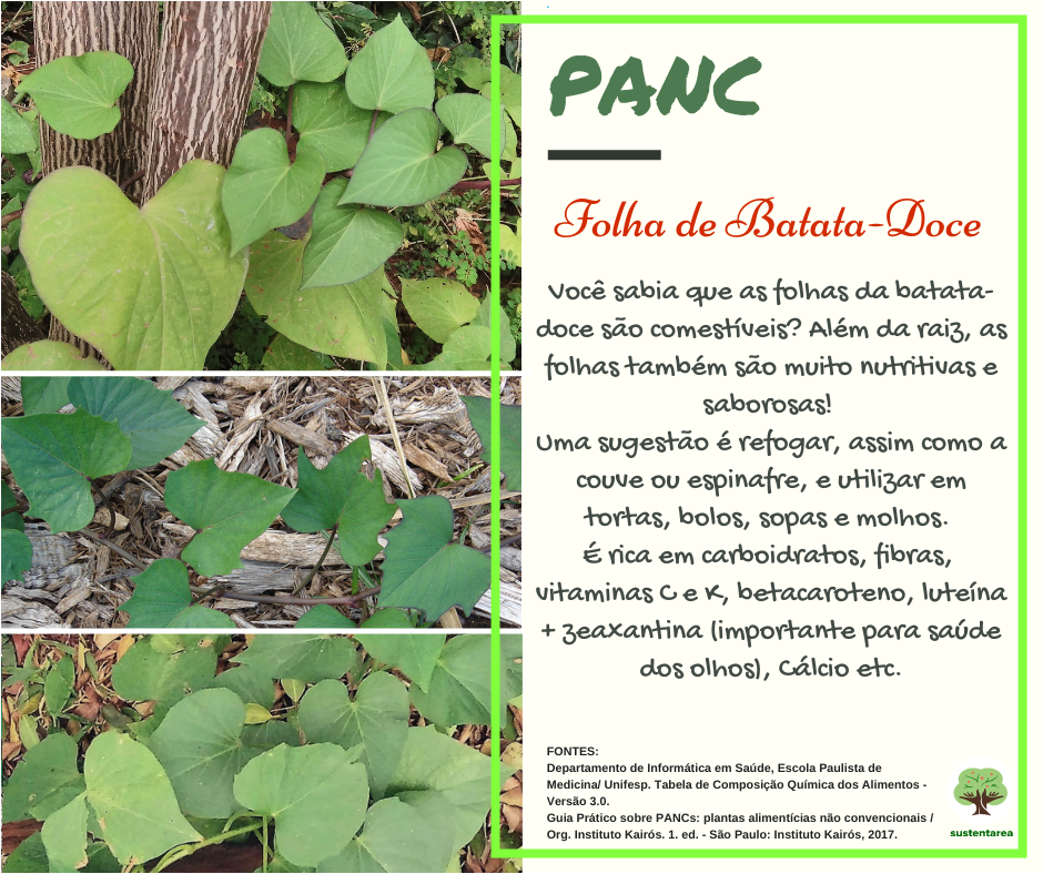 Dica de Ouro para Glicemia Estável: Folha de Batata Doce no Cardápio - inspiração 1