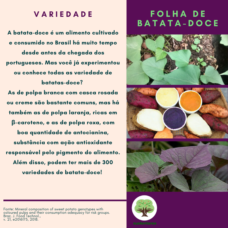 Dica de Ouro para Glicemia Estável: Folha de Batata Doce no Cardápio - inspiração 2