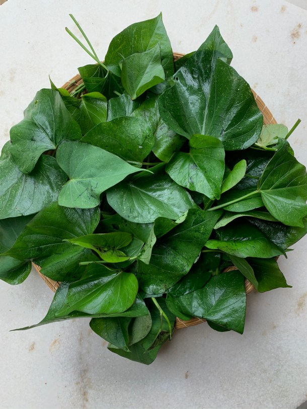 Anemia Nunca Mais: A Força do Ferro Escondida nas Folhas - inspiração 3