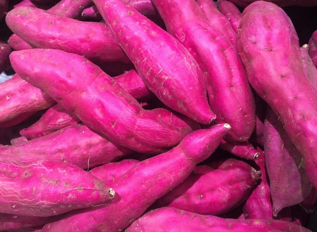 Imunidade Turbinada: A Receita Secreta para um Corpo Forte - inspiração 3