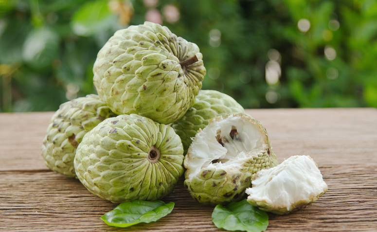 Escudo Antioxidante: Proteção Contra Danos - inspiração 1